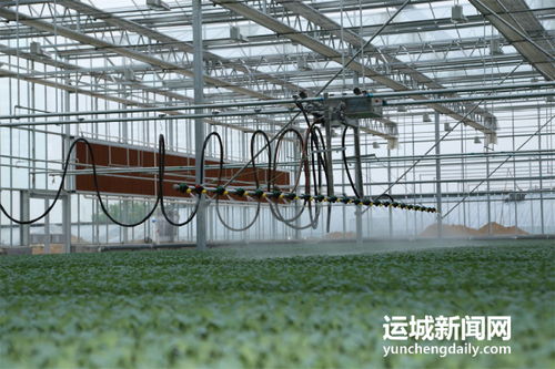 夏縣積極籌備第七屆中國(guó)山西特色農(nóng)產(chǎn)品交易博覽會(huì)，夯實(shí)初級(jí)農(nóng)產(chǎn)品營(yíng)銷基礎(chǔ)