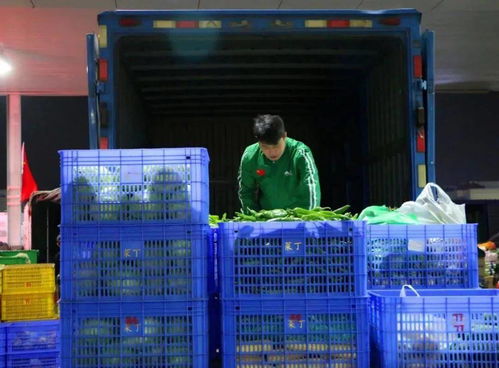 菜丁樂昌農(nóng)產(chǎn)品交易中心 大型農(nóng)副產(chǎn)品批發(fā)市場火爆招商，助力初級農(nóng)產(chǎn)品流通