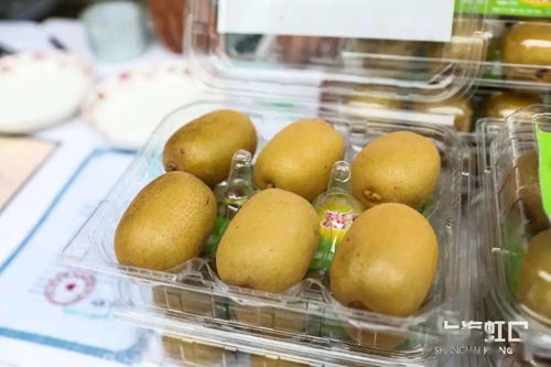 助力脫貧攻堅，品味地道風物——魯迅公園特色農(nóng)產(chǎn)品直銷活動正式啟動