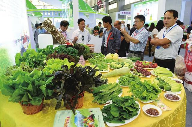 我市在第十九屆中國綠博會上斬獲佳績 初級農(nóng)產(chǎn)品成亮點