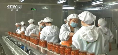 全鏈條推進鄉(xiāng)村特色產(chǎn)業(yè) 以農(nóng)產(chǎn)品加工業(yè)提升土特產(chǎn)效益