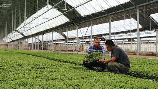 漯河首創農民職稱評審 初級農產品獲認證新通道